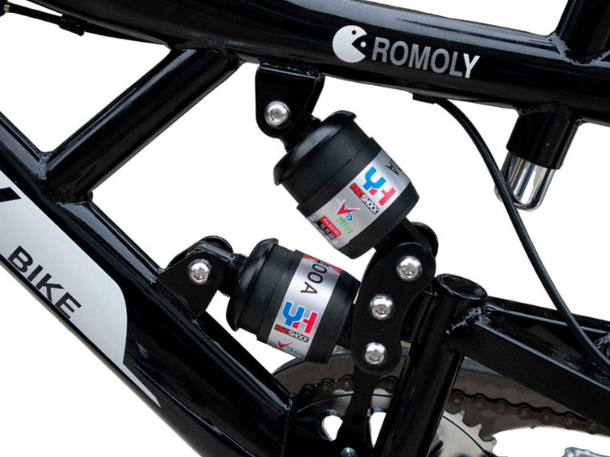 Adobe Express – file (15)