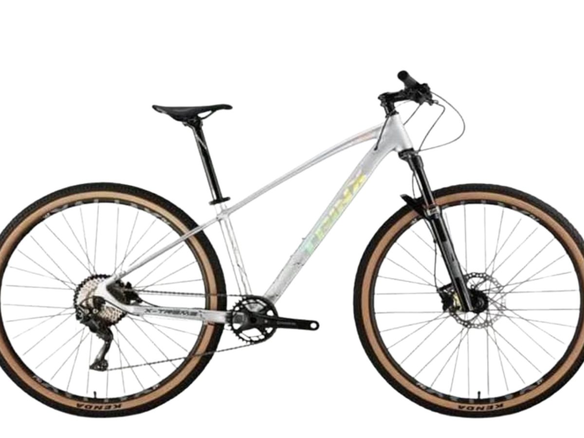 Adobe Express – file (77)