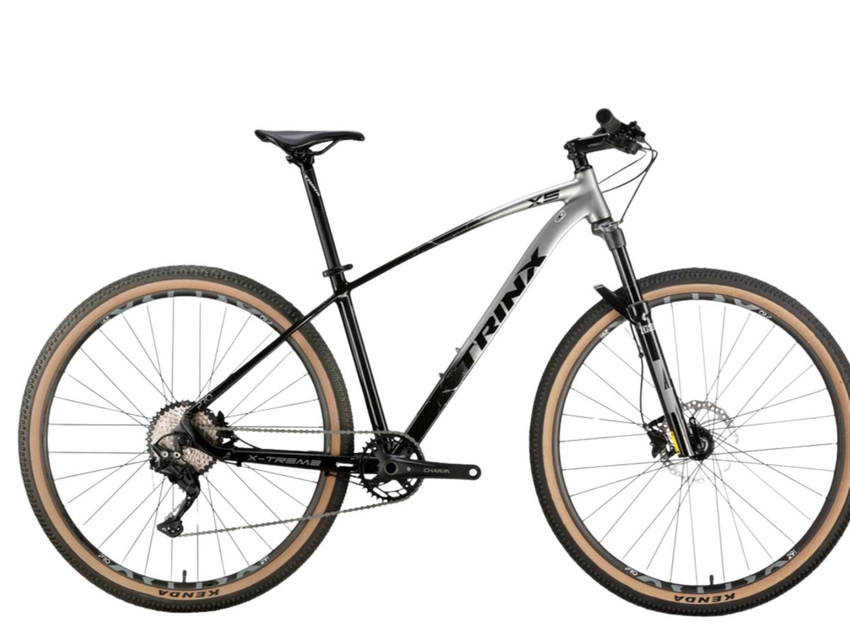 Adobe Express – file (78)