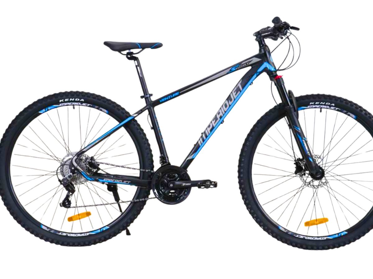 Adobe Express – file (16)