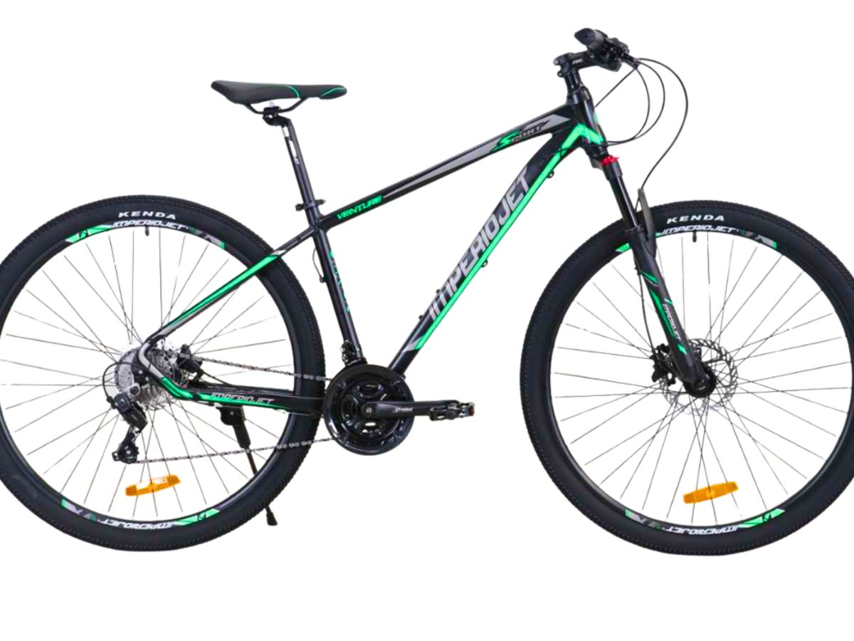 Adobe Express – file (17)