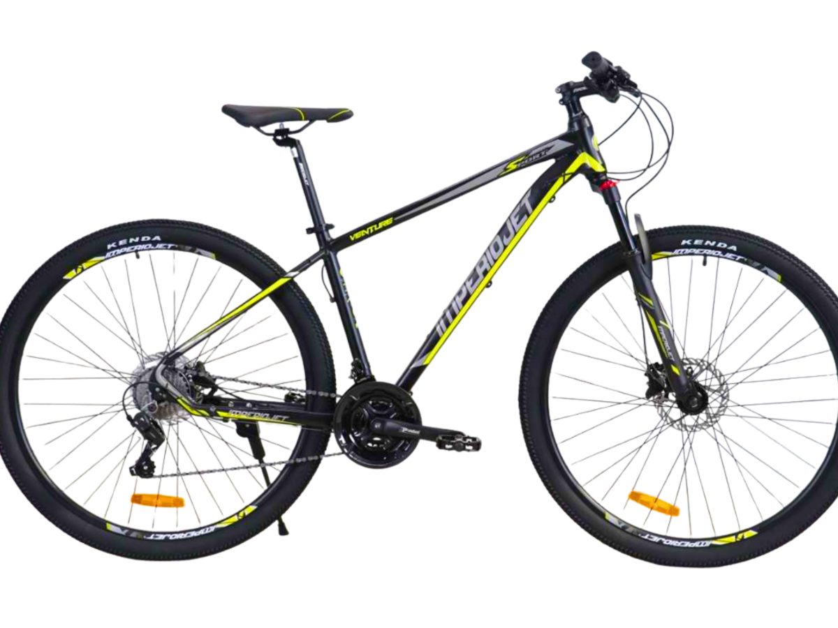 Adobe Express – file (18)