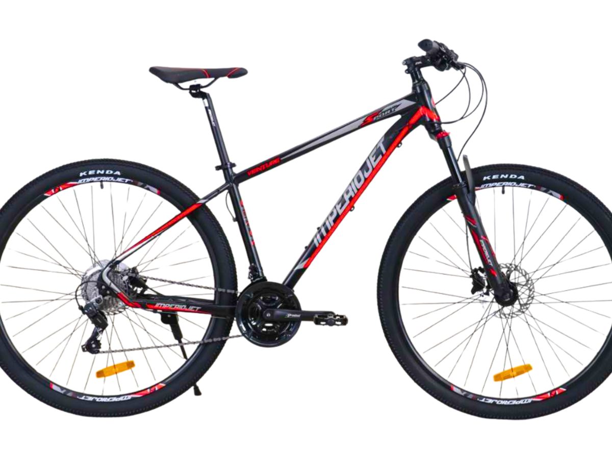 Adobe Express - file (19)